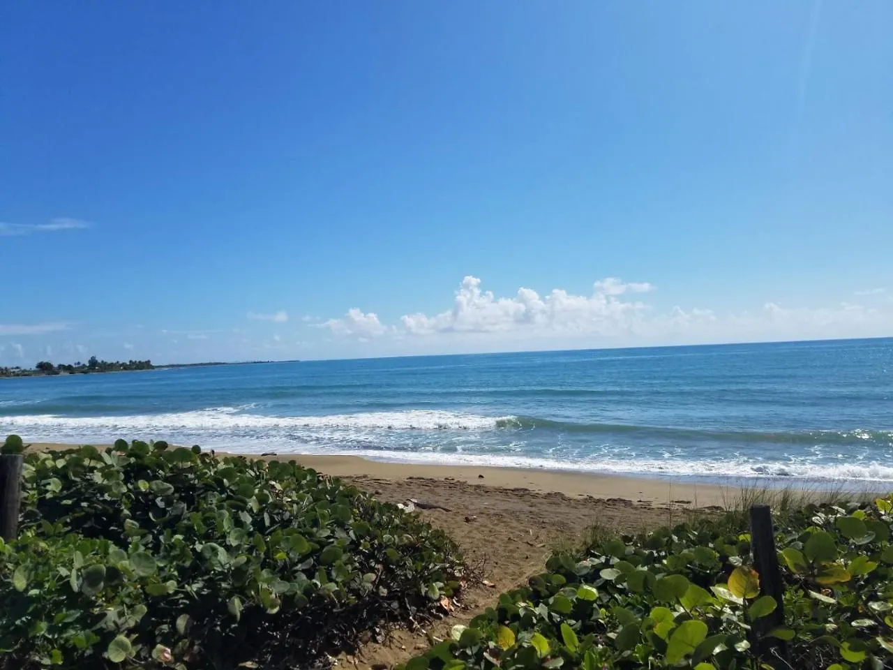 Dom wakacyjny Front Beach Luxury House W Infinity Pool Hotel Guayama